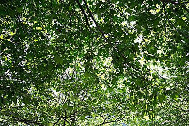 深挖现有内容！《第一后裔》透露11月更新内容与未来更新方向