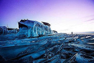《动物派对》将举行多次游戏测试 参加科隆游戏展